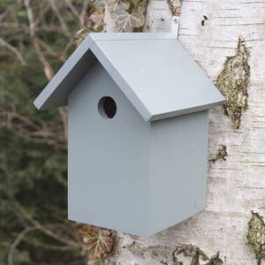 Image of Bird Box
