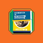 Image of Dane TS Hawk & The Cerebral Hemispheres - Coming Up | LP+MP3