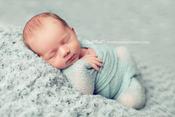 Image of Baby Fur - Blue Swirl