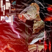 Image of elsphinx - HAZMAT CD