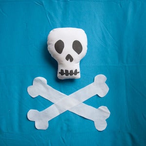 Image of Mini Skull "Blank Canvas" Softie