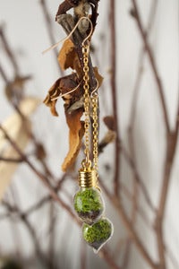 Image of Terrarium Heart Earrings