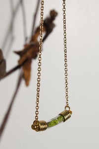 Image of Terrarium Curve Necklace
