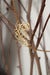 Image of Gold Tusk with Flourish Necklace