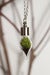 Image of Terrarium Teardrop Necklace