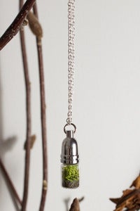Image of Bullet Top Terrarium Necklace
