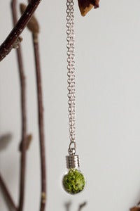Image of Terrarium Globe Necklace