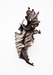 Image of Tango - Dillenia Alata<br><span style="font-weight:normal"><em>by Francis Ooi</em></span>