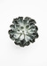 Image of Enlightenment - Echeveria<br><span style="font-weight:normal"><em>by Francis Ooi</em></span>