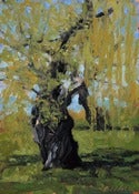 Image of Belle Isle Willows