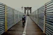 Image of Bike the Line