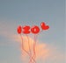 Image of International Zombies of Love - IZOL