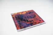 Image of I Am Your Bastard Wings CD