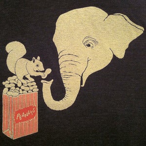 Elephant And Squirrel