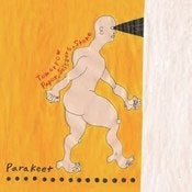 Image of Parakeet 'Tomorrow' 7" Vinyl