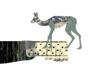 Image of postcard - lama