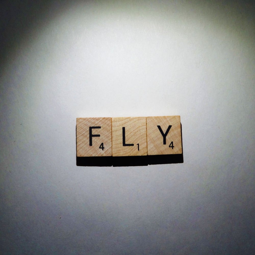 Image of FLY!
