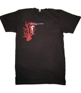 Image of Seahorse