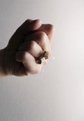Image of Dangling Rings
