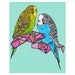 Image of Budgies Print 8x10