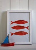 Image of Fishy