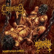 Image of CEPHALOTRIPSY / MEMBRO GENITALI BEFURCATOR SPLIT EP
