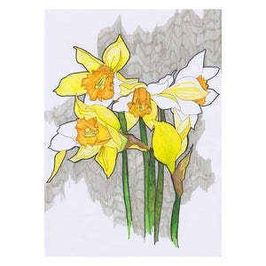 Image of Daffodils Print 8x10