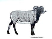Image of Castlemilk Moorit Ram - Limited Edition linocut print
