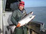 Image of Base Order:: fresh Whole Dressed Copper River King Salmon