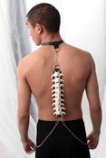 Image of OS ACCESSORIES<br>SPINAL CORD HARNESS