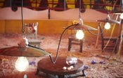 Image of guirlande de foire / garland fair