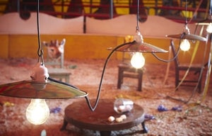 Image of guirlande de foire / garland fair