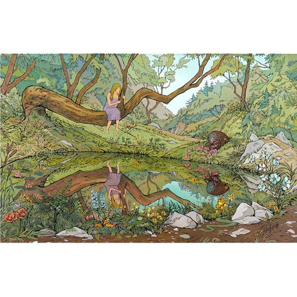 Image of The Pond