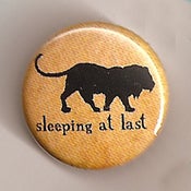 Image of Lion 1" Pin