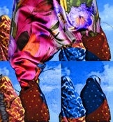 Image of DTCPU "A Bird" BWP-001
