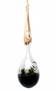 Image of Nest Terrarium