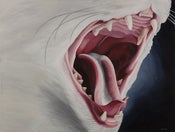 Image of RAWR (25"x38")
