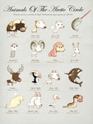 Image of Animals Of The Arctic Circle