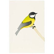 Image of Great Tit Card
