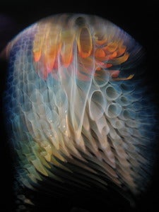Image of Over The Falls-Limited Edition Prints, Signed and Numbered