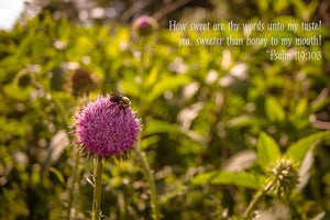 Image of Bee {Psalm 119:103} 8" x 12" Standout Professionally Printed on Metallic Paper