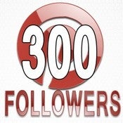 Image of 300 Pinterest Follows + Likes + Repins