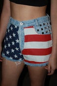 Image of Salute Your Shorts
