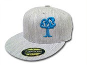 Image of Heather & Blue Hat