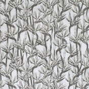 Image of bird slate end roll