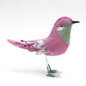 Image of Small fushsia bird