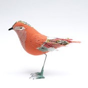 Image of Small coral bird