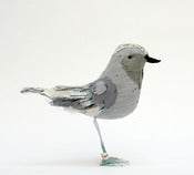 Image of Small grey bird