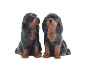 Image of KING CHARLES SPANIEL SALT & PEPPER SHAKERS