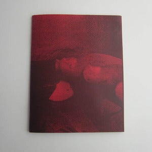Image of melissa meyer 'IX-V' /mlproject